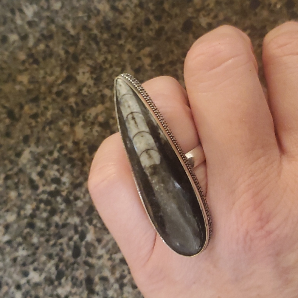 New Huge Orthoceras Fossil 925 Silver Statement Ring.